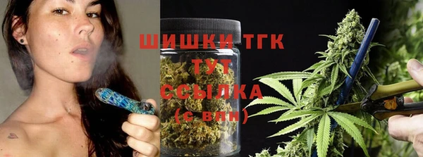 2c-b Краснослободск
