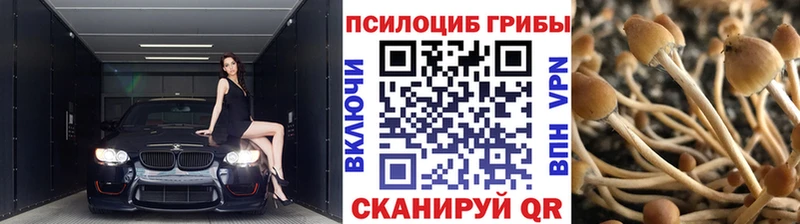 Купить закладки  Красный Сулин  Псилоцибиновые грибы Magic Shrooms 